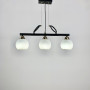 Изображение Видовжений світильник на 3 плафони Light House LNF-1551_2478 ИМ Light-Deco 7 