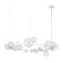 Зображення Люстра підвісна кільце з плафонами Light House LS-17132-24 WH+CL біла, плафон прозорий  ИМ Light-Deco 