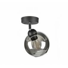 Світильник поворотний Light House SRS-19664/1 BK+SM чорний, плафон димчастий