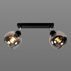 Світильник поворотний Light House SRS-19664/2 BK+SM чорний, плафон димчастий