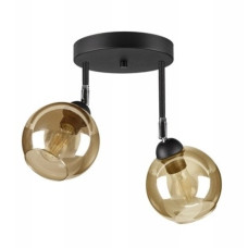 Світильник стельовий з поворотним механізмом Light House SRS-19665/2 BK+BR чорний, плафон коричневий 
