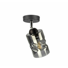 Світильник поворотний Light House SRS-19666/1 BK+SM чорний, плафон димчастий