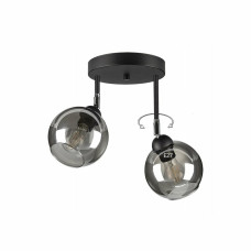 Світильник стельовий з поворотним механізмом Light House SRS-19665/2 BK+SM чорний, плафон димчастий