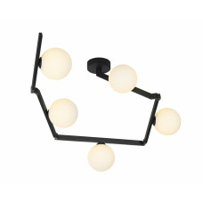 Люстра стельова регульована Light House SRS-19952-5A BK чорний, плафон білий 