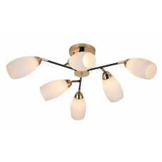 Люстра стельова Light House SRS-19719/6 GD+Matte black золото + чорний, плафон білий 