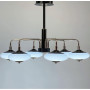 Зображення Світлодіодна люстра з унікальними плафонами ИМ Light-Deco 2 