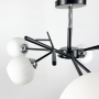 Зображення Стельова люстра Light House LNF-17513/6 BK WT чорна з білим плафоном ИМ Light-Deco 2 