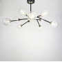 Изображение Стельова люстра в чорному корпусі на 10 ламп Light House LNF-1793_2724 ИМ Light-Deco 4 