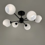 Зображення Люстра стельова LNF-17492/6 BK чорна ИМ Light-Deco 