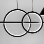 Зображення Люстра підвісна Light House LNF-17422 120 см чорна з 2 світлодіодними колами 30Вт та з 2 конусними плафонами ИМ Light-Deco 2 