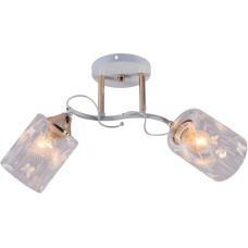 Люстра стельова Light House SRS-20739/2 білий + золотий, плафон прозорий з візерунком