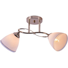 Люстра стельова Light House SRS-20729/2 золото, плафон білий з облямівкою
