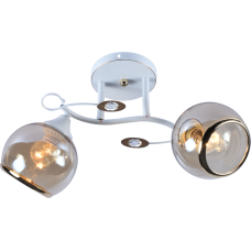 Люстра потолочная Light House SRS-20723/2 белый + золотой, плафон прозрачный с каймой