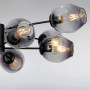 Изображение Люстра подвесная Light House LS-15178-10 BK+BK черная ИМ Light-Deco 1 