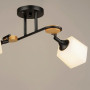 Изображение Люстра потолочная Light House SRS-16226/2 черныйИМ Light-Deco1
