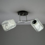 Зображення Люстра стельова Light House SR-13694/2 CR+BK хром ИМ Light-Deco 1 