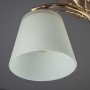 Зображення Люстра современная Light House SH-910531/2 FG золото ИМ Light-Deco 2 