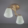 Зображення Люстра современная Light House SH-910531/2 FG золото ИМ Light-Deco 3 