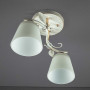 Зображення Люстра стельова Light House SW-10531/2 WG FG білий ИМ Light-Deco 1 