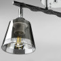 Зображення Люстра стельова Light House DL-18572/2 темний хром, плафон димчастий ИМ Light-Deco 1 