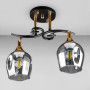 Зображення Люстра стельова Light House DL-18660/2 чорна + золото, плафон димчастий ИМ Light-Deco 