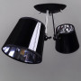 Изображение Люстра потолочная Light House DL-17214/2 чернаяИМ Light-Deco1
