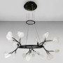 Изображение Люстра подвесная Light House LS-18076-24 BK+CL черная плафон прозрачный ИМ Light-Deco 
