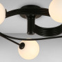 Изображение Люстра потолочная Light House LS-18017-5 BK+WH черная ИМ Light-Deco 1 