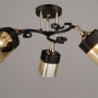 Зображення Стельова люстра Light House SR17006/3 FG+BK D580*H240 чорний ИМ Light-Deco1