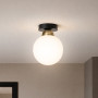 Изображение Светильник потолочный MSK Electric Luna с плафоном шар под одну лампу PL 20262 BK ИМ Light-Deco 1 