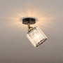 Зображення Светильник настенно-потолочный MSK Electric Brillante спот поворотный Е27 черный NL 121251-1 BK ИМ Light-Deco 6 