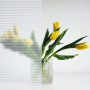 Зображення Пленка оконная на самоклейке 600*3000 (D) SW-00002166 ИМ Light-Deco 4 