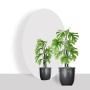 Изображение Зеркало акриловое самоклеющееся 270х420х2мм SW-00000748 ИМ Light-Deco 3 