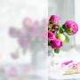 Изображение Пленка оконная на самоклейке 600*3000 (D) SW-00002164 ИМ Light-Deco 4 