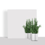Зображення Зеркало акриловое самоклеющееся 295х295х2мм SW-00000749 ИМ Light-Deco 2 