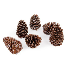 Набір декоративних шишок 6 шт (натуральні матеріали)