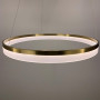 Зображення Сучасна кругла підвісна LED люстра у латунному каркасі ИМ Light-Deco 5 