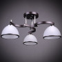 Изображение Потолочная люстра Light House DL-17336/3 BK CR черный ИМ Light-Deco 