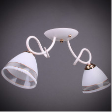 Люстра потолочная Light House DL-17221/2 WT белый