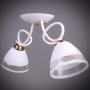 Изображение Люстра потолочная Light House DL-17221/2 WT белый ИМ Light-Deco 1 
