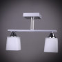 Зображення Стельова люстра Light House DL-17248/2 CF + CR сірий ИМ Light-Deco 2 