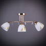 Зображення Стельова люстра Light House DL-17278/3 FG золото ИМ Light-Deco 1 