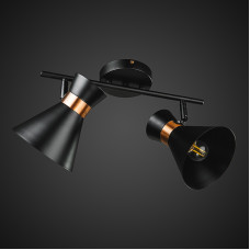 Потолочная люстра Light House DL-17292/2 BK черный