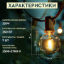 Изображение Ретро гирлянда уличная 10 LED лампочек 5 метров желтая A60Y ИМ Light-Deco 1 