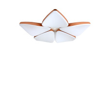 Люстра стельова LED Light House SRS-16449-5 170W білий
