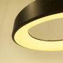 Изображение LED світильник підвісний у чорному корпусі ИМ Light-Deco 5 