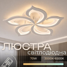 Люстра потолочная светодиодная LED Light House SRS-20623/5 WH белая