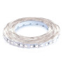 Зображення Світлодіодна стрічка BIOM Professional BPS-G3-24-2835-120-СW-20 холодний білий, негерметична, 1м ИМ Light-Deco 