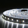 Зображення Світлодіодна стрічка BIOM Professional BPS-G3-12-5050-60-RGBW-20, негерметична, 1м ИМ Light-Deco 2 