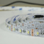 Зображення Світлодіодна стрічка BIOM Professional BPS-G3-12-5050-60-RGBW-20, негерметична, 1м ИМ Light-Deco 7 